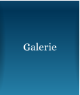 Galerie